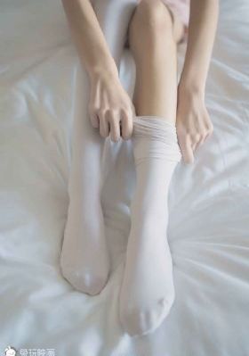 仙人掌忍道_国产剧免费电视剧